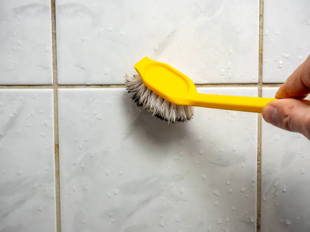 Best Kitchen Mold Remediation in Concordia, KS