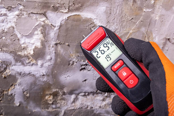Best HVAC Mold Remediation in Concordia, KS