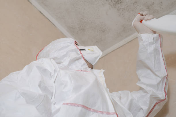 Best Mold Remediation for Specific Building Types in Concordia, KS
